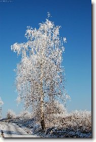 Фотография: Остальные