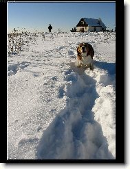 Фотография: Остальные