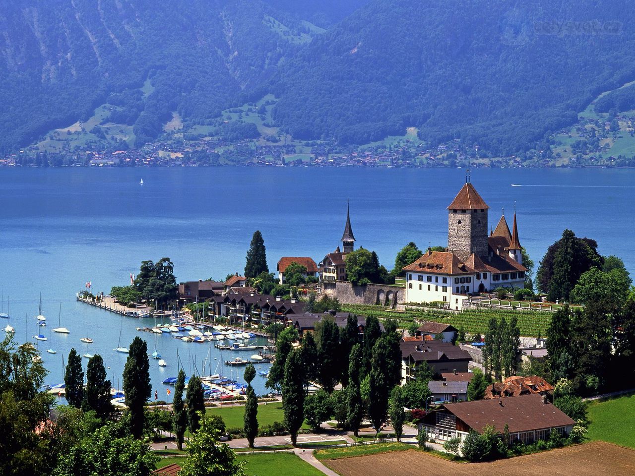 Thun Lake